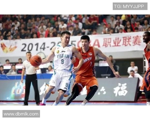 赵泰隆：从篮球新星到职业生涯巅峰的奋斗历程与心路历程分享